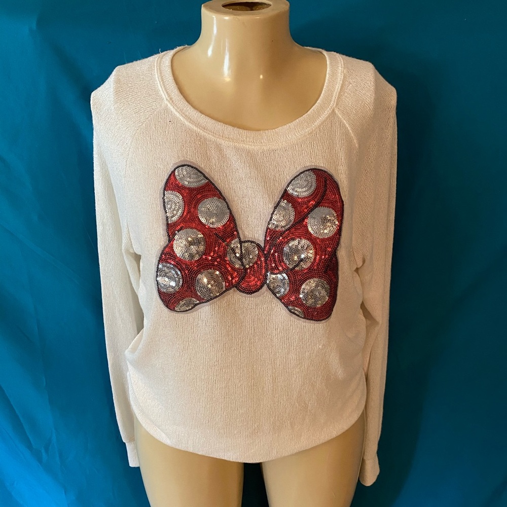 Disney park sweater